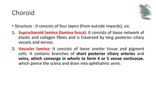 Choroid
• Structure : It consists of four layers (from outside inwards), viz.
1. Suprachoroid lamina (lamina fusca): It consists of loose network of
elastic and collagen fibres and is traversed by long posterior ciliary
vessels and nerves.
2. Vascular lamina: It consists of loose areolar tissue and pigment
cells. It contains branches of short posterior ciliary arteries and
veins, which converge in whorls to form 4 or 5 venae vorticosae,
which pierce the sclera and drain into ophthalmic veins.
 