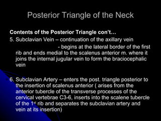 Posterior Triangle of the Neck Contents of the Posterior Triangle con’t… 5. Subclavian Vein – continuation of the axillary vein - begins at the lateral border of the first rib and ends medial to the scalenus anterior m. where it joins the internal jugular vein to form the braciocephalic vein 6. Subclavian Artery – enters the post. triangle posterior to the insertion of scalenus anterior ( arises from the anterior tubercle of the transverse processes of the cervical vertebrae C3-6, inserts into the scalene tubercle of the 1 st  rib and separates the subclavian artery and vein at its insertion) 