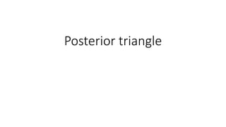 Posterior triangle
 