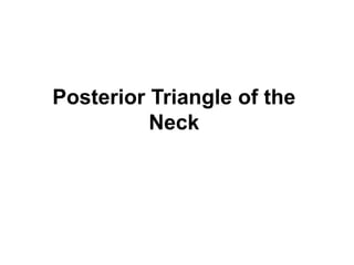 Posterior Triangle of the
Neck
 