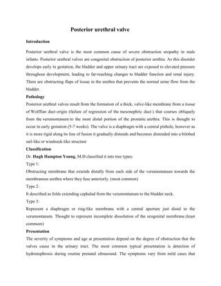 Posterior urethral valve
Introduction
Posterior urethral valve is the most common cause of severe obstruction uropathy in male
infants. Posterior urethral valves are congenital obstruction of posterior urethra. As this disorder
develops early in gestation, the bladder and upper urinary tract are exposed to elevated pressure
throughout development, leading to far-reaching changes to bladder function and renal injury.
There are obstructing flaps of tissue in the urethra that prevents the normal urine flow from the
bladder.
Pathology
Posterior urethral valves result from the formation of a thick, valve-like membrane from a tissue
of Wolffian duct origin (failure of regression of the mesonephric duct ) that courses obliquely
from the verumontanum to the most distal portion of the prostatic urethra. This is thought to
occur in early gestation (5-7 weeks). The valve is a diaphragm with a central pinhole, however as
it is more rigid along its line of fusion it gradually distends and becomes distended into a bilobed
sail-like or windsock-like structure
Classification
Dr. Hugh Hampton Young, M.D classified it into tree types:
Type 1:
Obstructing membrane that extends distally from each side of the verumontanum towards the
membranous urethra where they fuse anteriorly. (most common)
Type 2:
It described as folds extending cephalad from the verumontanum to the bladder neck.
Type 3:
Represent a diaphragm or ring-like membrane with a central aperture just distal to the
verumontanum. Thought to represent incomplete dissolution of the urogenital membrane.(least
commom)
Presentation
The severity of symptoms and age at presentation depend on the degree of obstruction that the
valves cause in the urinary tract. The most common typical presentation is detection of
hydronephrosis during routine prenatal ultrasound. The symptoms vary from mild cases that
 