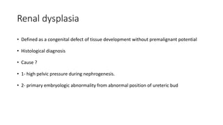Renal dysplasia
• Defined as a congenital defect of tissue development without premalignant potential
• Histological diagnosis
• Cause ?
• 1- high pelvic pressure during nephrogenesis.
• 2- primary embryologic abnormality from abnormal position of ureteric bud
 