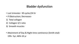 Bladder dysfunction
• Last trimester- 30 cycles/24 hr
• If Obstruction; Decreases-
1) Total collagen
2) Collagen 3/1 ratio
3) Smooth muscles
• Attainment of Day & Night time continence (Smith etal)-
19%- 5yr; 46%-10 yr
 
