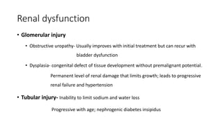 Renal dysfunction
• Glomerular injury
• Obstructive uropathy- Usually improves with initial treatment but can recur with
bladder dysfunction
• Dysplasia- congenital defect of tissue development without premalignant potential.
Permanent level of renal damage that limits growth; leads to progressive
renal failure and hypertension
• Tubular injury- Inability to limit sodium and water loss
Progressive with age; nephrogenic diabetes insipidus
 
