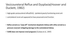 Vesicoureteral Reflux and Dysplasia(Hoover and
Duckett, 1982)
• High-grade vesicoureteral reflux(PUV) - ipsilateral poorly functioning renal unit
• contralateral renal unit appeared to have preserved renal function
• Reflux served as a “pop-off” mechanism-dysplastic kidney with reflux served as a
pressure reservoir mitigating damage to the contralateral kidney
• VURD does not improve renal prognosis (Cuckow et al., 1997)
 