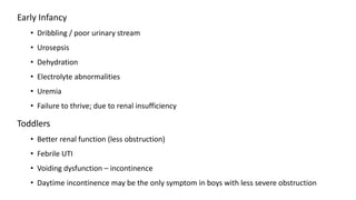 Early Infancy
• Dribbling / poor urinary stream
• Urosepsis
• Dehydration
• Electrolyte abnormalities
• Uremia
• Failure to thrive; due to renal insufficiency
Toddlers
• Better renal function (less obstruction)
• Febrile UTI
• Voiding dysfunction – incontinence
• Daytime incontinence may be the only symptom in boys with less severe obstruction
 