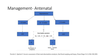 Management- Antenatal
Nicolini U, Spelzini F: Invasive assessment of fetal renal abnormalities:urinalysis, fetal blood sampling and biopsy, Prenat Diagn 21(11):964–969,2001.
 