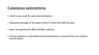 Cutaneous vesicostomy
• Infant is too small for safe instrumentation
• Adequate drainage of the upper tracts in more than 90% of cases
• Does not significantly affect bladder capacity
• Primary ablation is the preferred and vesicostomy is reserved for very small or
very ill infants
 