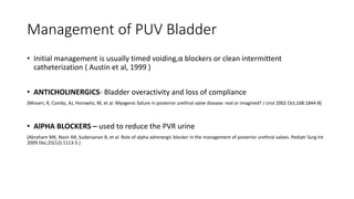 Management of PUV Bladder
• Initial management is usually timed voiding,α blockers or clean intermittent
catheterization ( Austin et al, 1999 )
• ANTICHOLINERGICS- Bladder overactivity and loss of compliance
(Misseri, R, Combs, AJ, Horowitz, M, et al. Myogenic failure in posterior urethral valve disease: real or imagined? J Urol 2002 Oct;168:1844-8)
• AlPHA BLOCKERS – used to reduce the PVR urine
(Abraham MK, Nasir AR, Sudarsanan B, et al. Role of alpha adrenergic blocker in the management of posterior urethral valves. Pediatr Surg Int
2009 Dec;25(12):1113-5.)
 
