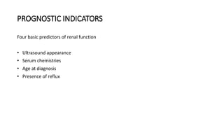 PROGNOSTIC INDICATORS
Four basic predictors of renal function
• Ultrasound appearance
• Serum chemistries
• Age at diagnosis
• Presence of reflux
 