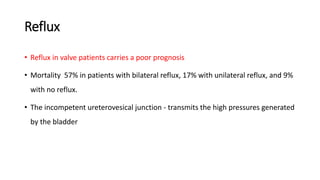 Reflux
• Reflux in valve patients carries a poor prognosis
• Mortality 57% in patients with bilateral reflux, 17% with unilateral reflux, and 9%
with no reflux.
• The incompetent ureterovesical junction - transmits the high pressures generated
by the bladder
 
