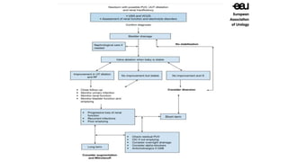 Posterior urethral valve