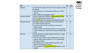 Posterior urethral valve