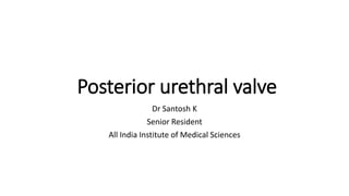 Posterior urethral valve
Dr Santosh K
Senior Resident
All India Institute of Medical Sciences
 