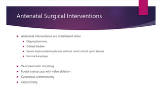 Antenatal Surgical Interventions
 Antenatal interventions are considered when
 Oligohydramnios,
 Dilated bladder
 Severe hydroureteronephrosis without renal cortical cystic lesions
 Normal karyotype.
 Vesicoamniotic shunting
 Foetal cystoscopy with valve ablation
 Cutaneous ureterostomy
 vesicostomy
 