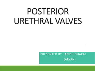 POSTERIOR
URETHRAL VALVES
PRESENTED BY: ANISH DHAKAL
(ARYAN)
 