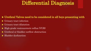 Differential Diagnosis
 Urethral Valves need to be considered in all boys presenting with
 Urinary tract infection
 Urinary tract dilatation
 High grade vesicoureteric reflux (VUR)
 Urethral or bladder outflow obstruction
 Bladder dysfunction
 