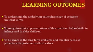 LEARNING OUTCOMES
 To understand the underlying pathophysiology of posterior
urethral valves
 To recognise clinical presentations of this condition before birth, in
infancy and in older children
 To be aware of the long-term problems and complex needs of
patients with posterior urethral valves
 