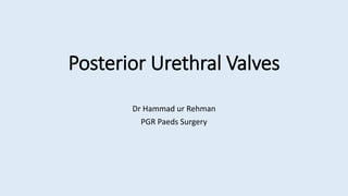 Posterior Urethral Valves
Dr Hammad ur Rehman
PGR Paeds Surgery
 