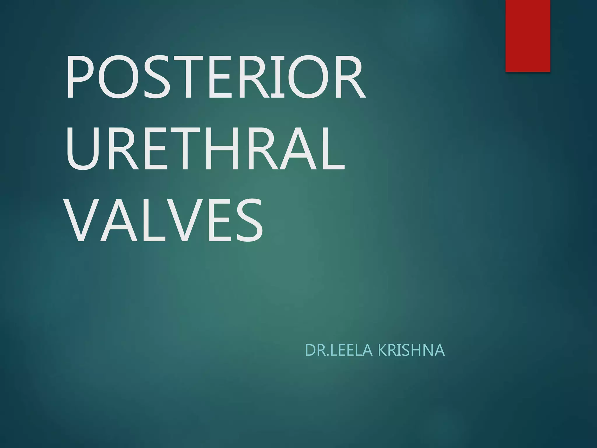 POSTERIOR URETERAL VALVES (PUV ) PPT