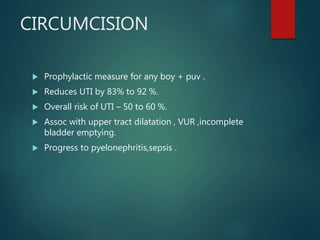 Puv Size POSTERIOR URETERAL VALVES (PUV ) | PPTX