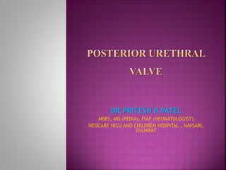 DR.PRITESH B PATEL
MBBS, MD (PEDIA), FIAP (NEONATOLOGIST)
NEOCARE NICU AND CHILDREN HOSPITAL , NAVSARI,
GUJARAT
 