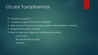 Ocular Toxoplasmosis
 Causative organism :-
 Toxoplasma gondii [Toxon-Arc Shaped]
 Main cause of infectious posterior uveitis worldwide (Most common)
 Obligate Intracellular parasite
 Exists in three form (Depends on external conditions
-Tachyzoites
-Bradyzoites(Tissue cysts)
-Oocytes
 