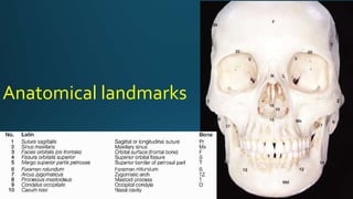 Anatomical landmarks
 