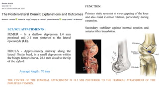 LCL/FCLATTACHMENTS :
FEMUR - In a shallow depression 1.4 mm
proximal and 3.1 mm posterior to the lateral
epicondyle (LE).
FIBULA - Approximately midway along the
lateral fibular head, in a small depression within
the biceps femoris bursa, 28.4 mm distal to the tip
of the styloid.
Average length : 70 mm
FUNCTION:
Primary static restraint to varus gapping of the knee
and also resist external rotation, particularly during
extension.
Secondary stabilizer against internal rotation and
anterior tibial translation.
THE CENTER OF THE FEMORAL ATTACHMENT IS 18.5 MM POSTERIOR TO THE FEMORAL ATTACHMENT OF THE
POPLITEUS TENDON.
 
