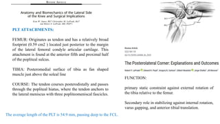 PLT ATTACHMENTS:
FEMUR: Originates as tendon and has a relatively broad
footprint (0.59 cm2 ) located just posterior to the margin
of the lateral femoral condyle articular cartilage. This
attachment is found at the anterior fifth and proximal half
of the popliteal sulcus.
TIBIA: Posteromedial surface of tibia as fan shaped
muscle just above the soleal line
COURSE: The tendon courses posterodistally and passes
through the popliteal hiatus, where the tendon anchors to
the lateral meniscus with three popliteomeniscal fascicles.
The average length of the PLT is 54.9 mm, passing deep to the FCL.
FUNCTION:
primary static constraint against external rotation of
the tibia relative to the femur.
Secondary role in stabilizing against internal rotation,
varus gapping, and anterior tibial translation.
 