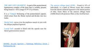 The anterior oblique band (AOB) – Found in 14% of
individuals, is a band of fibrous tissue that extends
from the lateral collateral ligament to the lateral portion
of tibia. Some fibers of the anterior oblique band
(AOB) blend with posterior fibers of the iliotibial tract.
THE ARCUATE LIGAMENT - Is part of the posterolateral
ligamentous complex of the knee that is variably present,
being found in ~65% (range 47.9-71%) of knees.
It is a Y-shaped thickening of the posterolateral capsule,
which arises from the fibular styloid and divides into two
limbs:
Medial limb: curves over the popliteus muscle to join with
the oblique popliteal ligament.
Lateral limb: ascends to blend with the capsule near the
lateral gastrocnemius muscle.
SOURCE: Arcuate ligament | Radiology Reference Article |
Radiopaedia.org
THE ARCUATE LIGAMENT - Is part of the posterolateral
ligamentous complex of the knee that is variably present,
being found in ~65% (range 47.9-71%) of knees.
It is a Y-shaped thickening of the posterolateral capsule,
which arises from the fibular styloid and divides into two
limbs:
 