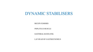 DYNAMIC STABILISERS
BICEPS FEMORIS
POPLITEUS MUSCLE
ILIOTIBIAL BAND (ITB)
LAT HEAD OF GASTROCNEMIUS
 