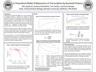 A Theoretical Model of Repression of Transcription by Nucleoid Proteins
Alec Hoyland, Sumana Shashidhar, Tim Harden, and Jané Kondev
Dept. of Quantitative Biology, Brandeis University, Waltham, MA 02454
Introduction
Ribonucleic acid polymerase (RNAP) is an enzyme ubiquitous
in biological systems. It catalyzes the synthesis of RNA
biomolecules from DNA in the process of transcription. RNAP
binds to a receptor in a probabilistic manner. We calculated
the probability of RNAP binding from the Boltzmann
equation and the law of mass action in an E. coli cell under
biological conditions and derived a quantitative model which
predicts the probability of RNAP binding in varying
concentrations of repressor and nucleoid proteins.
Nucleoid-associated proteins (NAP) bind tightly to DNA in
order to compact DNA to fit within the bacterial cell. Using
the previously derived equation, we developed a model for
NAP repressing transcription under biological conditions.
Our theory allows us to predict biological processes which
would be difficult to observe in vivo. Theoretical models give
quantitative understanding to qualitative experiments by
verifying empirical data. Our research supports the use of
equilibrium models in biological physics.
Promoters have been characterized as a function
of the number of repressors (Oehler et al. 1994;
Rosenfeld et al. 2005; Garcia & Kondev 2011).
As repressor concentration increases, the probability
of RNAP binding decreases. As RNAP concentration
increases, the probability of RNAP binding increases.
Figure 4. Proof of Principle: A Prototypical Model
Figure 1. Empirical Support for Theoretical Models
There is a very high probability that the RNA polymerase
will be bound when the dissociation constant (𝐾 𝑑) is equal
to 3 nM. The next model will therefore look only at
patterns present at this 𝐾 𝑑value.
𝐾 𝑑 =
𝑃 𝐿
𝑃𝐿
Figure 3. Two models of non specific binding of RNA
Polymerase based on NAP Protein HU concentration
Figure 2. Control model with no repressor in system
Model 1 takes into consideration the
possible arrangements for the NAP
proteins binding to the promoter
region, as seen by the equation picture
in Figure 4, while Model 2 does not
consider arrangement. There is a
significant difference between the two
models, indicating that the
arrangement of the NAP proteins does
influence RNAP binding.
Theory & Discussion
The cytoplasm within an E. coli cell was modeled as a fluid
lattice. Using the Boltzmann equation, we were able to
solve for the kinetic weights of the energies as exponential
terms. The number of thermodynamic arrangements were
found using the binomial theorem.
Stirling’s approximation was used to simplify the factorial
expression. Michaelis-Menten kinetics were also assumed,
for thermodynamic equilibrium in biological conditions.
The prototypical model of simple repression describes the
probability of RNAP binding in vivo with high accuracy
when there exists one binding site for both repressor and
RNAP. Model 1 indicates conclusively that thermodynamic
arrangement of NAP proteins significantly affects binding
probability.
Special Thanks
We would like to thank Tim Harden for his ardent guidance.
The probability is a function of ligand concentration,
repressor concentration, and the dissociation
constant.
Results
Figure 4. Model of promoter states and
NAP arrangement and equation used to
calculate arrangements for Model 1
 