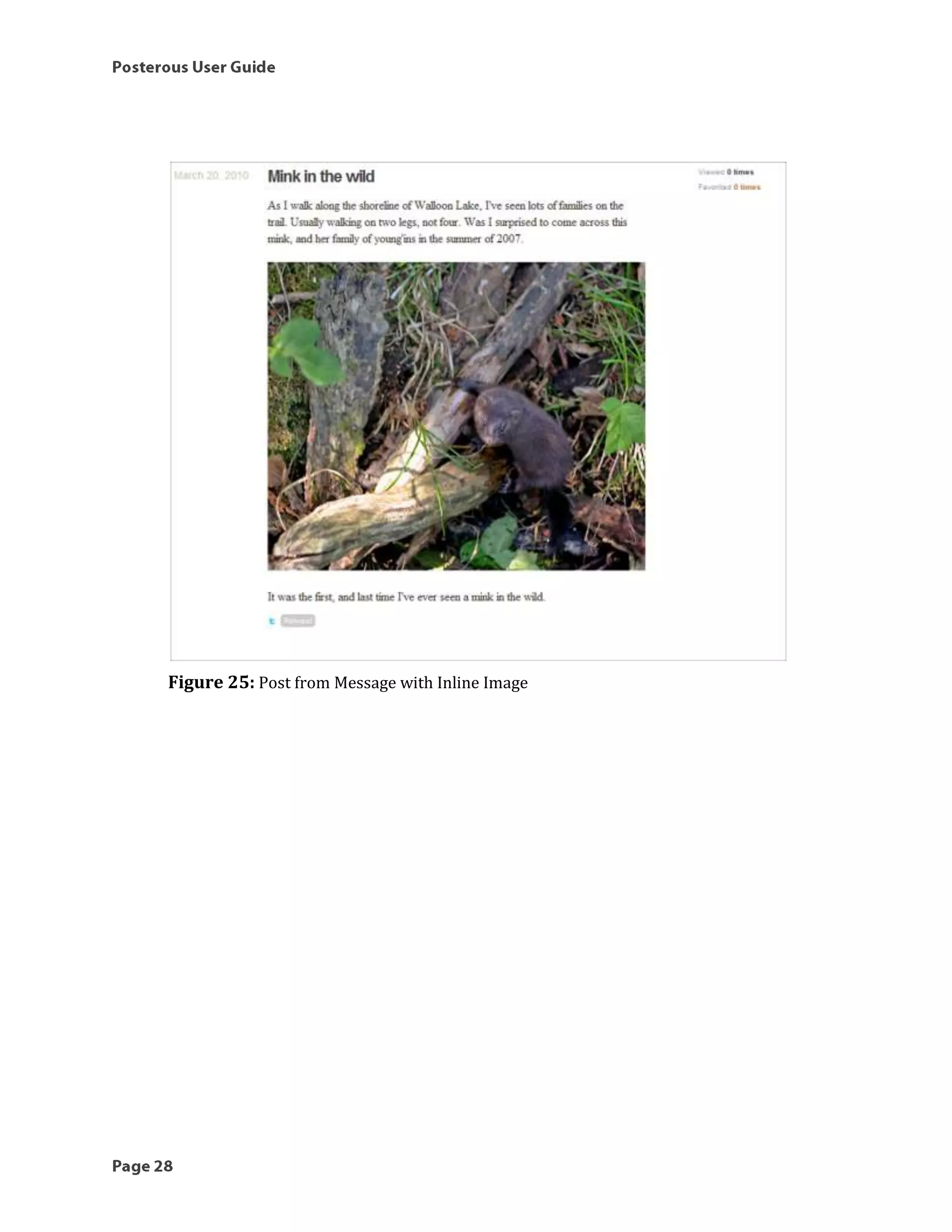 Posterous Guide: The Easy Way to Blog