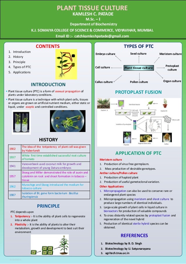 phd thesis on plant tissue culture
