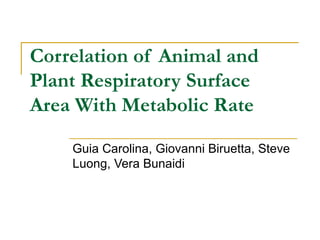 Correlation of Animal and
Plant Respiratory Surface
Area With Metabolic Rate

    Guia Carolina, Giovanni Biruetta, Steve
    Luong, Vera Bunaidi
 