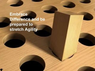 Embrace
    Difference and be
    prepared to
    stretch Agility




|
 