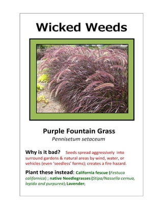 'Wicked Weeds' Posters   2014