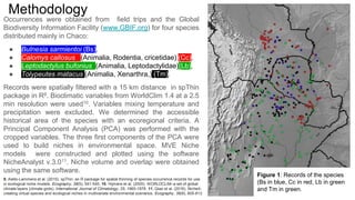 Methodology
Occurrences were obtained from field trips and the Global
Biodiversity Information Facility (www.GBIF.org) for four species
distributed mainly in Chaco:
● Bulnesia sarmientoi (Bs),
● Calomys callosus (Animalia, Rodentia, cricetidae) (Cc),
● Leptodactylus bufonius (Animalia, Leptodactylidae)(Lb),
● Tolypeutes matacus (Animalia, Xenarthra,) (Tm).
Records were spatially filtered with a 15 km distance in spThin
package in R9. Bioclimatic variables from WorldClim 1.4 at a 2.5
min resolution were used10. Variables mixing temperature and
precipitation were excluded. We determined the accessible
historical area of the species with an ecoregional criteria. A
Principal Component Analysis (PCA) was performed with the
cropped variables. The three first components of the PCA were
used to build niches in environmental space. MVE Niche
models were constructed and plotted using the software
NicheAnalyst v.3.011. Niche volume and overlap were obtained
using the same software.
Figure 1: Records of the species
(Bs in blue, Cc in red, Lb in green
and Tm in green.
9. Aiello‐Lammens et al. (2015). spThin: an R package for spatial thinning of species occurrence records for use
in ecological niche models. Ecography, 38(5), 541-545. 10. Hijmans et al. (2005). WORLDCLIM–a set of global
climate layers (climate grids). International Journal of Climatology, 25, 1965-1978. 11. Qiao et al. (2016). NicheA:
creating virtual species and ecological niches in multivariate environmental scenarios. Ecography, 39(8), 805-813.
 