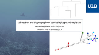Delineation and biogeography of semipelagic spotted eagle rays
Stephen Bergacker & Jean-François Flot
Université libre de Bruxelles (ULB)
 
