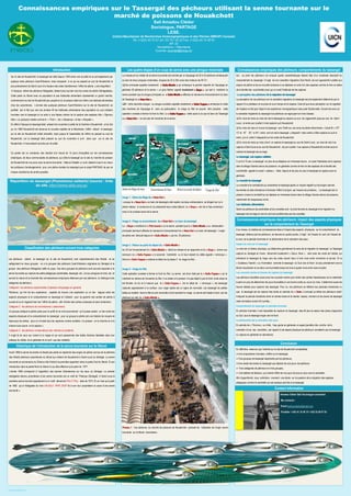 Poster template by ResearchPosters.co.za
Connaissances empiriques sur le Tassergal des pêcheurs utilisant la senne tournante sur le
marché de poissons de Nouakchott
Sall Amadou Clédor
Sociologue, PARTAGE
LESE.
Institut Mauritanien de Recherches Océanographiques et des Pêches (IMROP) Cansado
Tel. (+222) 45 74 51 24 / 53 79 / 50 23 Fax: (+222) 45 74 50 81
BP. 22
Nouadhibou – Mauritanie
Courriel: courrier@imrop.mr
.
Introduction
Sur le site de Nouakchott, le tassergal est ciblé depuis 1949 entre mai et juillet et ce principalement par
quelque rares pêcheurs Guet-N'dariens; mais comparait à ce qui se passait au sud de Nouakchott et
plus précisément de Saint-Louis à la hauteur des cotes Gambiennes: l’effort de pêche y est insignifiant.
A l’époque, même les pêcheurs Ndiagolais, étaient plus tournés vers les zones de pêche Sénégalaises,
Cette partie du littoral avec sa population et ses habitudes alimentaire représentait un grand marché,
contrairement au site de Nouakchott peu peuplé et où le poisson était loin d’être une habitude alimentaire
chez les autochtones. L’arrivée des quelques pêcheurs Guet-N'dariens sur le site de Nouakchott, se
justifiait par le fait que vers les années 40 les habitudes alimentaires des population du sud s’étaient
tournées vers le tassergal et ce suite à une baisse notoire de la capture des espèces dite « Djeunou
Xéer » ou poissons nobles comme le « Thiof » ; les « Kibaarous » et les « Khayakk ».
En effet à l’époque le tassergal était présent de novembre à juillet de la Gambie à Nouakchott ; et du fait
qu’ en 1960 Nouakchott est devenue la nouvelle capitale de la Mauritanie, l’effort ciblant le tassergal,
sur le site de Nouakchott s’était intensifié, mais jusque là l’essentielle de l’effort se passait au sud de
Nouakchott, car la tassergal était présent au sud de novembre à avril alors que sur le site de
Nouakchott, il n’est présent qu’entre juin et juillet.
Ce poster est un condensé, des résultat d'un travail de 15 jours d’enquêtes sur les connaissances
empiriques, de deux communautés de pêcheurs, qui cible le tassergal sur le site du marché de poisson
de Nouakchott de nos jours avec la senne tournante ; l’idée et d’établir un outil, destiné à servir au mieux
les politiques d’aménagements pour une pêche durable du tassergal que le projet PARTAGE de par sa
mission ambitionne de rendre possible.
A
B
Historique de l’introduction de la senne tournante sur le littoral
Connaissances empiriques des pêcheurs: comportements du tassergalLes quatre étapes d’un coup de senne avec une pirogue motorisée
Connaissances empiriques des pêcheurs: impact des aspects physiques
sur le comportement du Tassergal
Conclusion
Contact Information
.
Classification des pêcheurs suivant trois catégories
Les pêcheurs ciblant le tassergal sur le site de Nouakchott, sont majoritairement des Wolofs et se
catégorisent en deux groupes: on a le groupes des pêcheurs Guet-N'dariens originaires du Sénégal et le
groupe des pêcheurs Ndiagolais natifs du pays. Ces deux groupes de pêcheurs sont souvent associés à la
senne tournante qui capture les petits pélagiques (sardinelles, tassergal, etc. ) et aux pirogues en bois, etc. et
suivant la nature et la diversité des connaissances empiriques détenues par ces pêcheurs, on distingue trois
catégories de pêcheurs:
Catégorie1 :les pêcheurs expérimentés (Capitaine d’équipages en général)
Pêcheurs, qui fort de leur expérience , capable de trouver une explication ou un lien logique entre les
aspects physiques et le comportement du tassergal et l’utilisent pour se garantir des sorties de pêche à
succès et ce en régulant bien leur l’effort de pêche , afin d’éviter des sorties couteuses et sans rendement.
Catégorie 2 : les pêcheurs de circonstances ( saisonniers)
Ce groupe pratique la pêche juste pour le profit et ne croit aucunement qu’il puisse exister un lien entre les
aspects physiques et le comportement du tassergal ; pour ce groupe la pêche est une histoire de moyens et
beaucoup de sorties: plus on s’investi plus les captures s’avère rentable « le poisson on le cherche et si la
chance nous sourie on le capture »
Catégorie 3 : les pêcheurs conservateurs (les victimes du système)
Il s’agit là de ceux qui croient à la magie et qui sont passionnés des belles histoires fatalistes dans leur
pratique du métier, et en générale ils ne sont que des matelots.
Avant 1968 la senne tournante ne faisait pas partie du répertoire des engins de pêche connue de la pêcherie
des Wolofs pêcheurs autochtones du littoral qui s’étend de Nouakchott à Saint-Louis du Sénégal. La senne
tournante en provenance du Ghana a fait d’abord sa première apparition dans la partie Sud du littoral. Et son
introduction dans la partie Nord du littoral n’a pu être effective qu’à partir de 1977.
L’année 1968 correspond à l’apparition des sennes Ghanéennes sur les eaux du Sénégal. Le premier
sénégalais devenu propriétaire d’une senne tournante est un natif de THiaroye (Sénégal); A Saint-Louis la
première senne tournant appartenant à un natif dénommé FALLY FALL date de 1973. Et ce n’est qu’à partir
de 1982 qu’un Ndiagolais du nom d’ALADJI PAPE DIOP fut à son tour propriétaire lui aussi d’une senne
tournante ».
La manœuvre du métier de la senne tournante est animée par un équipage de 20 à 25 pêcheurs embarquant
au sein de deux pirogues motorisées, longues de 22 à 25m avec des moteurs de 40 CV :
Une principale appelée localement « Gallu-Mballe » qui embarque la grande majorité de l’équipage en
générale 20 pêcheurs et la senne + un gros flotteur appelé localement « Boye » qui sert à maintenir la
senne pendant que la pirogue principale ou « Gallu-Mballe » effectue la manœuvre d’encerclement du banc
de Tassergal ou « Naax-Got ».
Et notre seconde pirogue ou pirogue auxiliaire appelée localement « Gallu-Toppeu » embarque le reste
des membres de l’équipage et sans sa participation le virage du filet ne saurait être possible, cette
opération consiste à fermer le fond du filet. Le « Gallu-Toppeu » veille aussi à ce que le banc de Tassergal
ou « Naax-Got » ne sort pas de l’enceinte de la senne.
Image 1 : Début de filage du « Naax-Got »
Lorsque le « Naax-Got » ou banc de tassergal a été repéré, les deux embarcations se dirigent sur lui à
pleine vitesse. le contourne en lui présentant leurs cotés bâbord. Le « Boye » est mis à l’eau entrainant
avec lui la coulisse avant de la senne.
Image 2 : Filage ou encerclement du « Naax-Got » ou banc de tassergal
Le « Boye » maintient le « Filet tourné » ou la senne pendant que le « Gallu-Mballe » ou embarcation
principale (senneur) effectue la manœuvre d’encerclement du « Naax-Got » ou banc de tassergal. L’engin
de pêche est déroulé depuis le « Gallu-Mballe » par les 20 pêcheurs.
Image 3 : Retour au point de départ du « Gallu-Mballe »
Au 2/3 de l’encerclement le « Gallu-Mballe » réduit sa vitesse et se rapproche et du « Boye » donne aux
senneurs du « Gallu-Toppeu » la seconde l’extrémité ou le bout restant du câble appelé « remorque ».
Ainsi le « Gallu-Toppeu » entame le début de la phase 4: le virage du filet…
Image 4 : virage du filet
Cette opération consiste à fermer le fond du filet. La senne est donc halé par le « Gallu-Toppeu » qui le
maintient en dehors de l’enceinte du filet. A ce stade si le poisson n’a pas déjà fui par le fond, toute issue lui
est fermée. Au fur et à mesure que le « Gallu-Toppeu » tire le câble de « remorque », les tassergal
capturés apparaissent à la surface. Leur nage rapide est un signe de nervosité. Les tassergal de petites
tailles se maillent dans le filet et sont remontés à bord pendant le virage. La senne est hissée à bord par les
pêcheurs au sein du « Gallu-Mballe ».
Sur ce point les pêcheurs ont évoqué quatre caractéristiques faisant état d’un condensé descriptif du
comportement du tassergal. Il s’agit de son caractère migratoire (Sud Nord); de son agressivité nuisible aux
engins de pêche et de sa nouvelle tendance à se déplacer en solo loin des espèces comme le thon et celles
de la famille des scombridés avec qui on avait l’habitude de les capturer.
La perception des pêcheurs de la migration du tassergal
La perception de nos pêcheurs sur le caractère migratoire du tassergal est principalement déterminé par le
rapport d’un prédateur et sa proie et ce en temps et en espace. Cela dit que leurs perception sur la migration
de l’espèce ne fait pas l’objet d’une expérience monographique mais juste fractionnelle. Suivant les avis sur
le caractère migratoire du tassergal nos pêcheurs se regroupent en trois classes:
 Du mois de mars au mois de mai le tassergal se capture au sud de Lagawchish jusqu’au sud de Saint-
Louis ; et entre juin à juillet il n’est capturé qu’à Nouakchott.
 Au mois de mars on trouve le tassergal vers Tiwilit sur une zone de pêche dénommée « Canal Bi » (19°
13’’ et 16° 29 ‘’ à 34’’) entre avril et mai le tassergal y disparaît mais continu d’être capturé au sud et
entre juin et juillet il réapparait sur les cotes de Nouakchott.
 Du mois de mars au mois d’avril, on capture le tassergal au sud de Saint-Louis ; au mois de mai il se
capture à Saint louis et au sud de Nouakchott ; de juin à juillet il se capture à Nouakchott et entre aout et
octobre le tassergal est au large.
Le tassergal, une espèce solitaire
Il y’a 8 à 10 ans, le tassergal en plus de se déplacer en immenses bancs , on avait l’habitudes de le capturer
dans le sillage d'autres bancs de poissons en générale comme le thon et des espèces de la famille des
scombridés appelé en wolof « walass » . Mais depuis et de plus en plus le tassergal se capture seul en
générale.
La voracité du tassergal
La voracité et la combativité qui caractérise le tassergal garde un impact négatif sur les engins sennes
tournantes et cela à tendance à favoriser l’effort à la ligne par mesure de prudence… Le tassergal est un
poisson vorace et combatif qui se déplace en immenses bancs dans le sillage d'autres bancs de poissons,
notamment de maquereaux et de ...
Les habitudes alimentaires
Selon les pêcheurs les sardinelles et les crevettes sont la proie favorite du tassergal et la migration du
tassergal vers le large et vers le nord est conditionnée par les crevettes.
A ce niveau, la maitrise de connaissances liées à l’impact des aspects physiques sur le comportement du
tassergal, détenus par les pêcheurs, se résume en quatre points, il s’agit : de l’impact du vent; de l’impact de
la lune; de la période hivernale et le phénomène de la coloration des eaux .
Impact du vent sur le tassergal
Le vent est un facteur physique, qui détermine grandement le sens de la migration du tassergal. Le Tassergal
capturé au Sénégal en hivers dénommé localement « Gotuu- Noor » vient avec les vents de l’alizée, qui
entrainent le tassergal du large vers les cotes durant deux à trois mois entre novembre et janvier. Et le
« Guélewou Taankk » ou l’harmattan remonte le tassergal du Sud vers le Nord et plus précisément vers le
littoral mauritanien et ce dans une fourchette temps de trois à quatre mois entre mars et juillet.
Les courants marins et heures de capture du tassergal
Les pêcheurs travaillent aussi avec les courants marins pour éviter des sorties hasardeuses car le calendrier
lunaire en plus de déterminer les jours favorables à une bonne sortie au cours du mois, il détermine aussi les
heures idéales pour capturer des tassergal. Pour ce, nos pêcheurs se référent aux périodes transitoires vu
que le tassergal est de capture très facile en période de « Quiw » (concept qu’utilise les pêcheurs wolof:
indiquant la période transitoire entre la marrée haute et la marrée basse), moment où les bancs de tassergal
reste immobiles durant 45 munîtes…
Comportement du tassergal en période hivernale
En période hivernale; il est impossible de capturer du tassergal, cela dit plus la saison des pluies s’approche
au Sud plus le tassergal migre vers le Nord
Le phénomène de la coloration des eaux
En période de « Thiorone » ou d’été, l’eau garde en générale un aspect jaunâtre très proche de la
coloration d’une eau saumâtre; par rapport à cet aspect physique les pêcheurs constatent que le tassergal
s’y capture en générale en abondance.
En définitive, retenons que l’activité sur le site de Nouakchott comptabilise
Une cinquantaine d’années, d’effort sur le tassergal,
Trois groupes de tassergal répertoriés par les pêcheurs,
Une rareté récurrente du tassergal que déplore de nos jours, les pêcheurs
 Trois catégories de pêcheurs en trois groupes,
 Une batterie de facteurs, qui oriente l’effort de nos jours de plus en plus vers la sardinelle
Afin d’approfondir, nous sollicitons vivement une étude sur la question de la migration des espèces
pélagiques comme la sardinelle qui est quelque part liée à la tassergal
Amadou Clédor Sall/ Sociologue consultant
Me contacter :
Email lamtorocledor@gmail.com
Portable / +222 41 33 40 31/ +222 22 08 97 92
Photos 1 : Vue aérienne, du marché de poissons de Nouakchott symbole de l’utilisation de l’engin senne
tournante sur le littoral mauritanien…
 