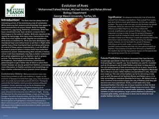 Significance: An adaptive evolutionary trait of birds that
Introduction:              The Aves class has always been an                   evolved from dinosaurs was feathers. They evolved from scales
interesting portion of the evolutionary tree of vertebrates.                   and allow birds to travel great distances, but this also created a
While observing their anatomy and physiology they appear to                    problem. The issue is that now they can also facilitate the spread
have characteristics of various classes. Birds are bipedal,                    of diseases. Birds are reservoirs for certain diseases such as
endothermic, egg-laying, feathered, vertebrates. Birds’ feet                   Influenza and West Nile Virus. As a host, it allows the
have a keratinized outer layer (stratum corneum) that is                       survival, amplification, and spread of these viruses. This is
homologous to the scales of reptiles. Birds also reproduce like                important to know in order to stop the spread of diseases. If
reptiles by laying eggs. Aves have many characteristics that                   vaccines could be created for birds, there could be a drastic
differ from most reptiles as well. Reptiles are ectothermic                    decrease in these viral infections. It could also possibly lead to the
while birds are endothermic. Birds also have developed a four                  elimination natural reservoir, effectively killing the disease.
chambered heart and hollow bones to aid them in flight while                   Scales, however, do not facilitate the spread of diseases.
reptiles have a three chambered heart and dense solid bones.                   Infecting an animal with scales is much harder because it
As a result of these various characteristics, it can be difficult              provides more protection and does not carry germs as easily as
for some to pinpoint where in history birds have made their                    feathers. The evolution of scales from dinosaurs to feathers of
evolutionary ascent. Understanding when and why in history                     the modern day bird has had positive impacts on the species but
certain traits have developed, may help us better understand                   are a growing concern for our community.
why certain adaptations such as feathers result in greater
survival. The discoveries of certain fossils, like the                Future Predictions: As feathers developed they have become
Archeopteryx, have helped evolutionary scientists and                 increasingly specialized in their form and function. Each Feather in a
paleontologists to get a better idea of where to place them.          birds plumage has a specific use. Some feathers are used for insulation
Certain diseases can also be spread from feathers, so knowing         such as the penguins use of small feathers and down to keep warm in
more information on feather evolution and morphology can              the cold temperatures of their environment (Du et al 2007). Some birds
help us better understand how to prevent certain diseases.            grow feathers that aid in long migratory flights like Migratory Blackcaps
                                                                      (De La Hera et al 2007). Other feathers are specialized in color, size and
Evolutionary History: Well preserved and many new                     even make up. The color of the feathers can be for attracting a mate
fossils have provided us with new evidence in respect to the          such as with the peacock tail feathers (Roslyn and Robert 2011), or to
evolution of dinosaurs to birds from 1994-2004. Early dinosaurs       help camouflage an individual (Stoddard et al 2011). We believe that as
were very small, but eventually evolved with time. Theropods          time continues and evolution shapes the uses of feathers that they will
evolved the first feathers which provided waterproofing and           become even more specialized. Alcids, a small water bird, have
insulation. Certain specimen such as the Archeopteryx and             developed feathers that when we increase insulation so that the bird
Caudipteryx provide evidence of feathers showing up on                stays warmer when it is in the water (Ortega-Jimez et al 2010). Other
dinosaurs. Development of flight, four chambered hearts, and air      possible adaptations include increased water resistance, increased
sacks allowed birds to become more efficient in flight. During        variation in color and patterns, larger primary feathers to allowing for
the Mesozoic Era the avian assemblage is made up of two major         increased glide ability, and decrease in down size to allow for more
lineages: the extinct Enantiornithes, and the Ornithurae. The         smaller feathers to help insulate.
Ornithurae gives rise to all modern birds. Much of the diversity of
the bird species are highlighted in the Early Cretaceous Era.
Much controversy still surrounds many of these findings and we
still require more evidence and information to better understand
the evolution of birds.



   References:
 