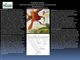 Introduction:         The Aves class has always been an
interesting portion of the evolutionary tree of vertebrates.        Significance: An adaptive evolutionary trait of birds that
While observing their anatomy and physiology they appear to         evolved from dinosaurs was feathers. They evolved from scales and
have characteristics of various classes. Birds are bipedal,         allow birds to travel great distances, but this also created a
endothermic, egg-laying, feathered, vertebrates. Birds’ feet        problem. The issue is that now they can also facilitate the spread of
have a keratinized outer layer (stratum corneum) that is            diseases. Birds are reservoirs for certain diseases such as Influenza
homologous to the scales of reptiles. Birds also reproduce like     and West Nile Virus. As a host, it allows the
reptiles by laying eggs. Aves have many characteristics that        survival, amplification, and spread of these viruses. This is
differ from most reptiles as well. Reptiles are ectothermic         important to know in order to stop the spread of diseases. If
while birds are endothermic. Birds also have developed a four       vaccines could be created for birds, there could be a drastic decrease
chambered heart and hollow bones to aid them in flight while        in these viral infections. It could also possibly lead to the
reptiles have a three chambered heart and dense solid bones.        elimination natural reservoir, effectively killing the disease.
As a result of these various characteristics, it can be difficult   Scales, however, do not facilitate the spread of diseases. Infecting
for some to pinpoint where in history birds have made their         an animal with scales is much harder because it provides more
evolutionary ascent. Understanding when and why in history          protection and does not carry germs as easily as feathers. The
certain traits have developed, may help us better understand        evolution of scales from dinosaurs to feathers of the modern day
why certain adaptations such as feathers result in greater          bird has had positive impacts on the species but are a growing
survival. The discoveries of certain fossils, like the              concern for our community.
Archeopteryx, have helped evolutionary scientists and               Future Predictions: As feathers developed they have become
paleontologists to get a better idea of where to place them.        increasingly specialized in their form and function. Each Feather in a
Certain diseases can also be spread from feathers, so knowing       birds plumage has a specific use. Some feathers are used for insulation
more information on feather evolution and morphology can            such as the penguins use of small feathers and down to keep warm in
help us better understand how to prevent certain diseases.          the cold temperatures of their environment (Du et al 2007). Some birds
                                                                    grow feathers that aid in long migratory flights like Migratory Blackcaps
Evolutionary History: Well preserved and many new                   (De La Hera et al 2007). Other feathers are specialized in color, size and
fossils have provided us with new evidence in respect to the        even make up. The color of the feathers can be for attracting a mate
evolution of dinosaurs to birds from 1994-2004. Early               such as with the peacock tail feathers (Roslyn and Robert 2011), or to
dinosaurs were very small, but eventually evolved with time.        help camouflage an individual (Stoddard et al 2011). We believe that as
Theropods evolved the first feathers which provided                 time continues and evolution shapes the uses of feathers that they will
waterproofing and insulation. Certain specimen such as the          become even more specialized. Alcids, a small water bird, have
Archeopteryx and Caudipteryx provide evidence of feathers           developed feathers that when we increase insulation so that the bird
showing up on dinosaurs. Development of flight, four                stays warmer when it is in the water (Ortega-Jimez et al 2010). Other
chambered hearts, and air sacks allowed birds to become             possible adaptations include increased water resistance, increased
more efficient in flight. During the Mesozoic Era the avian         variation in color and patterns, larger primary feathers to allowing for
assemblage is made up of two major lineages: the extinct            increased glide ability, and decrease in down size to allow for more
Enantiornithes, and the Ornithurae. The Ornithurae gives rise       smaller feathers to help insulate.
to all modern birds. Much of the diversity of the bird species
are highlighted in the Early Cretaceous Era. Much controversy
still surrounds many of these findings and we still require
more evidence and information to better understand the
evolution of birds.
 References
 1.
 2.
 3.
 4.
 5.
 6.
 7.
 8.
 9.
 10.
 