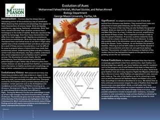 Introduction:         The Aves class has always been an
interesting portion of the evolutionary tree of vertebrates.        Significance: An adaptive evolutionary trait of birds that
While observing their anatomy and physiology they appear to         evolved from dinosaurs was feathers. They evolved from scales and
have characteristics of various classes. Birds are bipedal,         allow birds to travel great distances, but this also created a
endothermic, egg-laying, feathered, vertebrates. Birds’ feet        problem. The issue is that now they can also facilitate the spread of
have a keratinized outer layer (stratum corneum) that is            diseases. Birds are reservoirs for certain diseases such as Influenza
homologous to the scales of reptiles. Birds also reproduce like     and West Nile Virus. As a host, it allows the survival, amplification,
reptiles by laying eggs. Aves have many characteristics that        and spread of these viruses. This is important to know in order to
differ from most reptiles as well. Reptiles are ectothermic         stop the spread of diseases. If vaccines could be created for birds,
while birds are endothermic. Birds also have developed a four       there could be a drastic decrease in these viral infections. It could
chambered heart and hollow bones to aid them in flight while        also possibly lead to the elimination natural reservoir, effectively
reptiles have a three chambered heart and dense solid bones.        killing the disease. Scales, however, do not facilitate the spread of
As a result of these various characteristics, it can be difficult   diseases. Infecting an animal with scales is much harder because it
for some to pinpoint where in history birds have made their         provides more protection and does not carry germs as easily as
evolutionary ascent. Understanding when and why in history          feathers. The evolution of scales from dinosaurs to feathers of the
certain traits have developed, may help us better understand        modern day bird has had positive impacts on the species but are a
why certain adaptations such as feathers result in greater          growing concern for our community.
survival. The discoveries of certain fossils, like the
Archeopteryx, have helped evolutionary scientists and
paleontologists to get a better idea of where to place them.
                                                                    Future Predictions: As feathers developed they have become
Certain diseases can also be spread from feathers, so knowing       increasingly specialized in their form and function. Each Feather in a
more information on feather evolution and morphology can            birds plumage has a specific use. Some feathers are used for insulation
help us better understand how to prevent certain diseases.          such as the penguins use of small feathers and down to keep warm in
                                                                    the cold temperatures of their environment (Du et al 2007). Some birds
                                                                    grow feathers that aid in long migratory flights like Migratory Blackcaps
Evolutionary History: Well preserved and many new
                                                                    (De La Hera et al 2007). Other feathers are specialized in color, size and
fossils have provided us with new evidence in respect to the
                                                                    even make up. The color of the feathers can be for attracting a mate
evolution of dinosaurs to birds from 1994-2004. Early dinosaurs
                                                                    such as with the peacock tail feathers (Roslyn and Robert 2011), or to
were very small, but eventually evolved with time. Theropods
evolved the first feathers which provided waterproofing and         help camouflage an individual (Stoddard et al 2011). We believe that as
insulation. Certain specimen such as the Archeopteryx and           time continues and evolution shapes the uses of feathers that they will
Caudipteryx provide evidence of feathers showing up on              become even more specialized. Alcids, a small water bird, have
dinosaurs. Development of flight, four chambered hearts, and        developed feathers that when we increase insulation so that the bird
air sacks allowed birds to become more efficient in                 stays warmer when it is in the water (Ortega-Jimez et al 2010). Other
flight. During the Mesozoic Era the avian assemblage is made        possible adaptations include increased water resistance, increased
up of two major lineages: the extinct Enantiornithes, and the       variation in color and patterns, larger primary feathers to allowing for
Ornithurae. The Ornithurae gives rise to all modern birds. Much     increased glide ability, and decrease in down size to allow for more
of the diversity of the bird species are highlighted in the Early   smaller feathers to help insulate.
Cretaceous Era. Much controversy still surrounds many of these
findings and we still require more evidence and information to
better understand the evolution of birds.

 References
 1.                                      6.
 2.                                      7.
 3.                                      8.
 4.                                      9.
 5.                                      10.
 