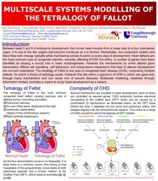 MULTISCALE SYSTEMS MODELLING OF
        THE TETRALOGY OF FALLOT
                  1                1                  1                       2               2                       2                    3
Ron Summers, Tariq Abdulla, Ryan Imms, Jean-Marc Schleich, Guy Carrault, Alfredo Hernandez and Lucile Houyel
1
  Electronic and Electrical Engineering, SEIC, Loughborough University, Leics, UK, LE11 3TU
  E-mail: R.Summers@lboro.ac.uk Web: http://syseng.lboro.ac.uk
2
  LTSI, University of Rennes 1, Rennes, F-35000, France
3
  Marie-Lannelongue Hospital, Paris, F-92350, France

Introduction
Between week 3 and 6 of embryonic development, the human heart morphs from a linear tube to a four chambered
organ. It is one of the few organs that become functional as it is formed. Remarkably, the conduction system and
blood flow both change radically while maintaining cardiac function at every step of development. Heart defects are
the most common type of congenital disorder, severely affecting 6/1000 live births. A number of genes have been
identified as playing a crucial role in heart morphogenesis. However the mechanisms by which altered gene
transcription affects cell signalling, cell behaviour, and tissue-tissue interactions that lead to altered development
are not well understood. The tetralogy of Fallot is one type of congenital heart disease (CHD), comprising multiple
defects, for which a theory of aetiology exists. However this sits within a spectrum of CHD in which one gene acts
through many mechanisms and can cause one of several diseases. Multiscale modelling, mediated through
information models, provides a means to study heart development as a system.

    Tetralogy of Fallot                                             Complexity of CHD
    The tetralogy of Fallot is the most common                       Several mechanisms are involved in heart development, each of which
    congenital heart defect causing cyanosis, and is                 are controlled by several genes. CHD commonly involves abnormal
    defined as four coinciding anomalies:                            remodelling of the outflow tract (OFT) which can be caused by a
     A Pulmonary stenosis                                            combination of mechanisms, as illustrated below. As the OFT loops
     B An over-riding aorta, displaced to the right                  behind the atria, it septates into the aorta and pulmonary artery, and
     C Ventricular septal defect                                     wedges aligned with the atrioventricular septum. Thus there is a range
       (always in the membranous septum)                             of CHDs caused by abnormal degrees of OFT rotation.
     D Right ventricle hypertrophy

                                                     Wikipedia
                                                   User:Wapcaplet




                                       A

                                               B
                                               C

                                           D



     Normal Heart               Tetralogy of Fallot
    As the four abnormalities co-occur so frequently, it is
    likely there is a common cause. One theory is that
    hypoplasia of the subpulmonary conus leads to both
    pulmonary stenosis and a shorter rotation of the
    Outflow Tract (OFT), which leads to anomalies B , C
    and D .                                                         Several genes control several mechanisms, which lead to one of several CHDs [1]
 