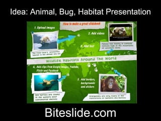 Idea: Animal, Bug, Habitat Presentation
Biteslide.com
 