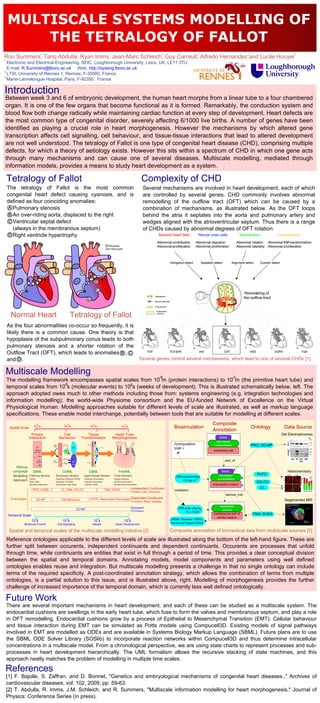 MULTISCALE SYSTEMS MODELLING OF
        THE TETRALOGY OF FALLOT
                                     1                                                     1                                                           1                                                      2                       2                               2                        3
Ron Summers, Tariq Abdulla, Ryan Imms, Jean-Marc Schleich, Guy Carrault, Alfredo Hernandez and Lucile Houyel
1
  Electronic and Electrical Engineering, SEIC, Loughborough University, Leics, UK, LE11 3TU
  E-mail: R.Summers@lboro.ac.uk Web: http://syseng.lboro.ac.uk
2
  LTSI, University of Rennes 1, Rennes, F-35000, France
3
  Marie-Lannelongue Hospital, Paris, F-92350, France

Introduction
Between week 3 and 6 of embryonic development, the human heart morphs from a linear tube to a four chambered
organ. It is one of the few organs that become functional as it is formed. Remarkably, the conduction system and
blood flow both change radically while maintaining cardiac function at every step of development. Heart defects are
the most common type of congenital disorder, severely affecting 6/1000 live births. A number of genes have been
identified as playing a crucial role in heart morphogenesis. However the mechanisms by which altered gene
transcription affects cell signalling, cell behaviour, and tissue-tissue interactions that lead to altered development
are not well understood. The tetralogy of Fallot is one type of congenital heart disease (CHD), comprising multiple
defects, for which a theory of aetiology exists. However this sits within a spectrum of CHD in which one gene acts
through many mechanisms and can cause one of several diseases. Multiscale modelling, mediated through
information models, provides a means to study heart development as a system.

    Tetralogy of Fallot                                                                                                                                                                 Complexity of CHD
    The tetralogy of Fallot is the most common                                                                                                                                           Several mechanisms are involved in heart development, each of which
    congenital heart defect causing cyanosis, and is                                                                                                                                     are controlled by several genes. CHD commonly involves abnormal
    defined as four coinciding anomalies:                                                                                                                                                remodelling of the outflow tract (OFT) which can be caused by a
     A Pulmonary stenosis                                                                                                                                                                combination of mechanisms, as illustrated below. As the OFT loops
     B An over-riding aorta, displaced to the right                                                                                                                                      behind the atria it septates into the aorta and pulmonary artery and
     C Ventricular septal defect                                                                                                                                                         wedges aligned with the atrioventricular septum. Thus there is a range
       (always in the membranous septum)                                                                                                                                                 of CHDs caused by abnormal degrees of OFT rotation.
     D Right ventricle hypertrophy

                                                                                                                                                      Wikipedia
                                                                                                                                                    User:Wapcaplet




                                                                                               A

                                                                                                                    B
                                                                                                                            C

                                                                                                      D



     Normal Heart                                                            Tetralogy of Fallot
    As the four abnormalities co-occur so frequently, it is
    likely there is a common cause. One theory is that
    hypoplasia of the subpulmonary conus leads to both
    pulmonary stenosis and a shorter rotation of the
    Outflow Tract (OFT), which leads to anomalies B , C
    and D .                                                                                                                                                                           Several genes control several mechanisms, which lead to one of several CHDs [1]

Multiscale Modelling                                                                                                                                                                                     -9                                                    -3
    The modelling framework encompasses spatial scales from 10 m (protein interactions) to 10 m (the primitive heart tube) and
                            -6                        6
    temporal scales from 10 s (molecular events) to 10 s (weeks of development). This is illustrated schematically below, left. The
    approach adopted owes much to other methods including those from: systems engineering (e.g. integration technologies and
    information modelling); the world-wide Physiome consortium and the EU-funded Network of Excellence on the Virtual
    Physiological Human. Modelling approaches suitable for different levels of scale are illustrated, as well as markup language
    specifications. These enable model interchange, potentially between tools that are suitable for modelling at different scales.
                            -9                                          -6                                       -4                                                  -3                                                                       Composite
     Spatial Scale      10 m                                     10 m                                      10 m                                                   10 m                                              Biosimulation                                         Ontology      Data Source
                                                                                                                                                                                                                                              Annotation
                    Protein                           Cell                                         Tissue                                                   Heart Tube                                                                                                                 Gel Electrophoresis
                  Interaction                       Behaviour                                  Transformation                                              Morphogenesis                                                                          SNAIL
                                                                                                                                                                                                                                                decreased
                                            High                 VEGF                                High VEGF                                                                                                      //computation              concentration              PRO, GO-MF
                                2+          VEGF
                           CA
                                                                                                                  BMP2
                                                                                                                              Snail   VE Cadherin

                                                                                                                                                                                                                    VAR =
                         Calcineurin
                            p            VEGF
                                                                                                                            Notch

                                                                                                                                                                                                                                              endothelial cell
                        NFAT    NFAT                                                                                        Delta4
                                                                                                     Low VEGF

                                VEGF                                         VE-Cadherin
                                                          2+
                                                     CA
                                                                                                                 TGF-beta
                                                   Calcineurin    TGF-beta
                             Wnt /
                            BetaCat
                                           Low
                                           VEGF
                                                      p
                                                   NFAT   NFAT


                                                          VEGF
                                                                              Snail                                                                                                                                                                    part_of
                                                                                                     High VEGF
                                                       Wnt /
                                                                   BMP
                                                      BetaCat
                                                                             Notch
                                BMP4                      BMP4


         Markup
       Language     SBML                                         CellML                                 CBML                                                   FieldML                                                                              SNAIL                                 Histochemistry
       Modelling Pathway Models                 Stochastic Models                                  Agent Based Models                                       Finite Element                                                                        decreased                 PATO
                                                                                                                                                                                                                     OPB:concentration
       Approach ODEs                            Reaction Diffusion PDEs                            Reactive Animation                                      Image Analysis
                                                                                                                                                                                                                         =53 pg ml
                                                                                                                                                                                                                                   -1            concentration
                 Petri Nets                     Systems of ODEs                                    Cellular Automata                                       3D Reconstruction                                                                                                GO-CC
                     Boolean Networks           Stochastic Petri Nets                              Cellular Potts                                          Multiphysics Simulation                                                            endocardial cushion
                                                                                                                                                                              Independent Continuant                                                                          CL
                       PRO, ChEBI                              CL, FMA, GO-CC                                                                       FMA, EHDA                                                       Validation
                                                                                                                                                                              (Proteins, Cells, Structures)
                                                                                                                                                                                                                                                       derives_into
     Ontologies            GO-MF                               Cell Behaviour                                PATO, Mammalian Phenotype Dependent Continuant                                                                                                                             Segemented MRI
                                                                                                                                                                              (Functions, Roles, Qualities)

                                                                                                                                                                                                                                                 decreased
                                                                                           GO-BP                                                                              Occurent                                 OPB:area volume
                                                                                                                                                                              (Processes)                                          6  3            volume
                                                                                                                                                                                                                           =3 x 10 μm
    Temporal Scale
                                                                                                                                                                                                                                              membranous part of          FMA, EHDA
                          -6                                            -3                                                  3                                             6                                                                    cardiac septum
                                                                                                                                                                                                                  OMIM / Snomed / AEPC:
                      10 s                                       10 s                                            10 s                                                10 s
              Molecular Events                    Cell Signalling                                                Mitosis                                     Heart Development                                    Ventricular Septal Defect

     Spatial and temporal scales of the multiscale modelling initiative [2]                                                                                                                                       Composite annotation of biomedical data from multiscale sources [2]
    Reference ontologies applicable to the different levels of scale are illustrated along the bottom of the left-hand figure. These are
    further split between occurents, independent continuants and dependent continuants. Occurents are processes that unfold
    through time, while continuants are entities that exist in full through a period of time. This provides a clear conceptual division
    between the spatial and temporal domains. Annotating models, model components and parameters using well defined
    ontologies enables reuse and integration. But multiscale modelling presents a challenge in that no single ontology can include
    terms of the required specificity. A post-coordinated annotation strategy, which allows the combination of terms from multiple
    ontologies, is a partial solution to this issue, and is illustrated above, right. Modelling of morphogenesis provides the further
    challenge of increased importance of the temporal domain, which is currently less well defined ontologically.

Future Work
    There are several important mechanisms in heart development, and each of these can be studied as a multiscale system. The
    endocardial cushions are swellings in the early heart tube, which fuse to form the valves and membranous septum, and play a role
    in OFT remodelling. Endocardial cushions grow by a process of Epithelial to Mesenchymal Transition (EMT). Cellular behaviour
    and tissue interaction during EMT can be simulated as Potts models using Compucell3D. Existing models of signal pathways
    involved in EMT are modelled as ODEs and are available in Systems Biology Markup Language (SBML). Future plans are to use
    the SBML ODE Solver Library (SOSlib) to incorporate reaction networks within Compucell3D and thus determine intracellular
    concentrations in a multiscale model. From a chronological perspective, we are using state charts to represent processes and sub-
    processes in heart development hierarchically. The UML formalism allows the recursive stacking of state machines, and this
    approach neatly matches the problem of modelling in multiple time scales.

References
    [1] F. Bajolle, S. Zaffran, and D. Bonnet, "Genetics and embryological mechanisms of congenital heart diseases.," Archives of
    cardiovascular diseases, vol. 102, 2009, pp. 59-63.
    [2] T. Abdulla, R. Imms, J.M. Schleich, and R. Summers, "Multiscale information modelling for heart morphogenesis," Journal of
    Physics: Conference Series (in press).
 