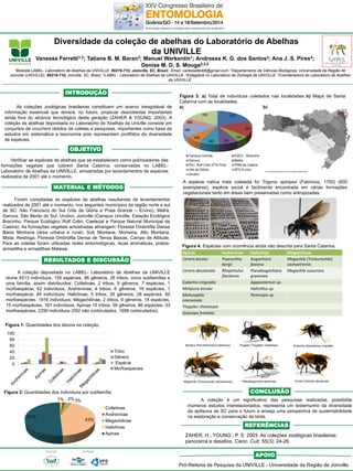 Diversidade da coleção de abelhas do Laboratório de Abelhas 
da UNIVILLE 
Vanessa Ferretti1,3; Tatiane B. M. Baran3; Manuel Warkentin1; Andressa K. G. dos Santos3; Ana J. S. Pires4; Denise M. D. S. Mouga2,3,5 
As coleções zoológicas brasileiras constituem um acervo inesgotável de informação essencial que deverá, no futuro, propiciar descobertas importantes ainda fora do alcance tecnológico desta geração (ZAHER & YOUNG, 2003). A coleção de abelhas depositada no Laboratório de Abelhas da Univille consiste em conjuntos de vouchers obtidos de coletas e pesquisas, importantes como base de estudos em sistemática e taxonomia pois representam portfólios da diversidade de espécies. 
Verificar as espécies de abelhas que se estabelecem como polinizadores das formações vegetais que cobrem Santa Catarina, conservadas no LABEL- Laboratório de Abelhas da UNIVILLE, amostradas por levantamentos de espécies realizados de 2001 até o momento. 
Foram compiladas as espécies de abelhas resultantes de levantamentos realizados de 2001 até o momento, nos seguintes municípios da região norte e sul de SC: São Francisco do Sul (Vila da Glória e Praia Grande – Ervino), Mafra, Garuva, São Bento do Sul, Urubici, Joinville (Campus Univille, Estação Ecológica Bracinho, Parque Ecológico Rolf Colin, Caetezal e Parque Natural Municipal da Caieira). As formações vegetais amostradas abrangem: Floresta Ombrófila Densa Baixo Montana (área urbana e rural), Sub Montana, Montana, Alto Montana, Mista, Restinga, Floresta Ombrófila Densa de Terras Baixas, Campo de Altitude. Para as coletas foram utilizadas redes entomológicas, iscas aromáticas, pratos- armadilha e armadilhas Malaise. 
A coleção depositada no LABEL- Laboratório de Abelhas da UNIVILLE reúne 4513 indivíduos, 155 espécies, 86 gêneros, 28 tribos, cinco subfamílias e uma família, assim distribuídos: Colletinae, 2 tribos, 9 gêneros, 7 espécies, 1 morfoespécie, 42 indivíduos; Andreninae, 4 tribos, 6 gêneros, 16 espécies, 1 morfoespécie, 84 indivíduos; Halictinae, 5 tribos, 26 gêneros, 28 espécies, 60 morfoespécies, 1916 indivíduos; Megachilinae, 2 tribos, 6 gêneros, 18 espécies, 15 morfoespécies, 161 indivíduos; Apinae 15 tribos, 39 gêneros, 86 espécies, 33 morfoespécies, 2290 indivíduos (592 não corbiculados, 1698 corbiculados). 
ZAHER, H.; YOUNG , P. S. 2003. As coleções zoológicas brasileiras: panorama e desafios. Cienc. Cult. 55(3): 24-26. 
REFERÊNCIAS 
RESULTADOS E DISCUSSÃO 
OBJETIVO 
MATERIAL E MÉTODOS 
CONCLUSÃO 
INTRODUÇÃO 
A coleção é um significativo das pesquisas realizadas, possibilita inúmeros estudos interelacionados, representa um testemunho da diversidade da apifauna de SC para o futuro e enseja uma perspectiva de sustentabilidade na exploração e conservação da biota. 
Foto 
Figura 3: a) Total de indivíduos coletados nas localidades b) Mapa de Santa Catarina com as localidades. 
a) b) 
0 
20 
40 
60 
80 
100 
Tribo 
Gênero 
Espécie 
Morfoespécies 
A espécie nativa mais coletada foi Trigona spinipes (Fabricius, 1793) (600 exemplares), espécie social e facilmente encontrada em várias formações vegetacionais tanto em áreas bem preservadas como antropizadas. 
1% 
2% 
3% 
43% 
51% 
Colletinae 
Andreninae 
Megachilinae 
Halictinae 
Apinae 
Figura 2: Quantidades dos indivíduos por subfamília. 
Figura 1: Quantidades dos táxons na coleção. 
912 
641 
242 
361 
365 
302 
498 
288 
765 
Campus Univille 
ESEC - Bracinho 
Garuva 
Mafra 
PEc. Rolf Colin ETA Piraí 
PNM da Caieira 
Vila da Glória 
SFS Ervino 
Urubici 
Apinae 
Andreninae 
Halictinae 
Megachilinae 
Centris bicolor 
Psaenythia bergii 
Augochlora foxiana 
Megachile (Trichurochile) cachoeirensis 
Centris decolorata 
Rhophitulus flavitarsis 
Pseudaugochlora graminea 
Megachile susurrans 
Eulaema cingulata 
Agapostemon sp. 
Melipona bicolor 
Halictillus sp. 
Melissoptila cnecomala 
Pereirapis sp. 
Thygater chaetaspis 
Xylocopa frontalis 
Figura 4: Espécies com ocorrência ainda não descrita para Santa Catarina. 
Thygater (Thygater) chaetaspis 
Megachile (Trichurochile) cachoeirensis 
Centris (Centris) decolorata 
Eulaema (Apeulaema) cingulata 
Pseudaugochlora graminea 
1Bolsista LABEL- Laboratório de Abelhas da UNIVILLE, 89219-710, Joinville, SC, Brasil. Email: vanessaferetti@gmail.com. 2Departamento de Ciências Biológicas, Universidade da Região de Joinville (UNIVILLE), 89219-710, Joinville, SC, Brasil. 3LABEL - Laboratório de Abelhas da UNIVILLE. 4Estagiária no Laboratório de Zoologia da UNIVILLE. 5Coordenadora do Laboratório de Abelhas da UNIVILLE. 
APOIO 
Pró-Reitoria de Pesquisa da UNIVILLE - Universidade da Região de Joinville. 
Bombus (Fervidobombus) bellicosus 
http://prcompensados.com.br/index.php?pagina=representante 