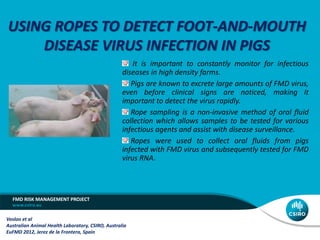 USING ROPES TO DETECT FOOT-AND-MOUTH
    DISEASE VIRUS INFECTION IN PIGS
                                                       It is important to constantly monitor for infectious
                                                   diseases in high density farms.
                                                      Pigs are known to excrete large amounts of FMD virus,
                                                   even before clinical signs are noticed, making it
                                                   important to detect the virus rapidly.
                                                      Rope sampling is a non-invasive method of oral fluid
                                                   collection which allows samples to be tested for various
                                                   infectious agents and assist with disease surveillance.
                                                      Ropes were used to collect oral fluids from pigs
                                                   infected with FMD virus and subsequently tested for FMD
                                                   virus RNA.




  FMD RISK MANAGEMENT PROJECT


Vosloo et al
Australian Animal Health Laboratory, CSIRO, Australia
EuFMD 2012, Jerez de la Frontera, Spain
 