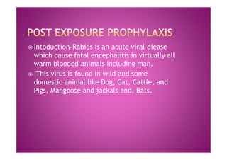 Post exposure prophylaxis in Rabies | PDF